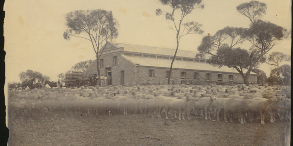 B 19210 State Library of SA