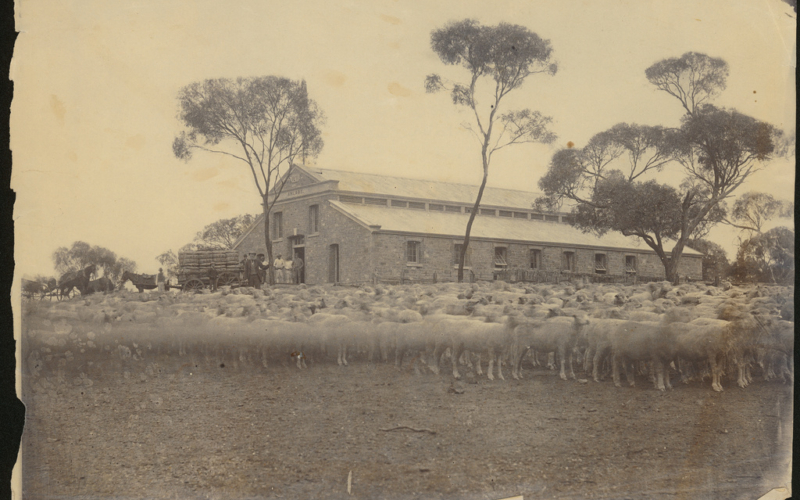 B 19210 State Library of SA