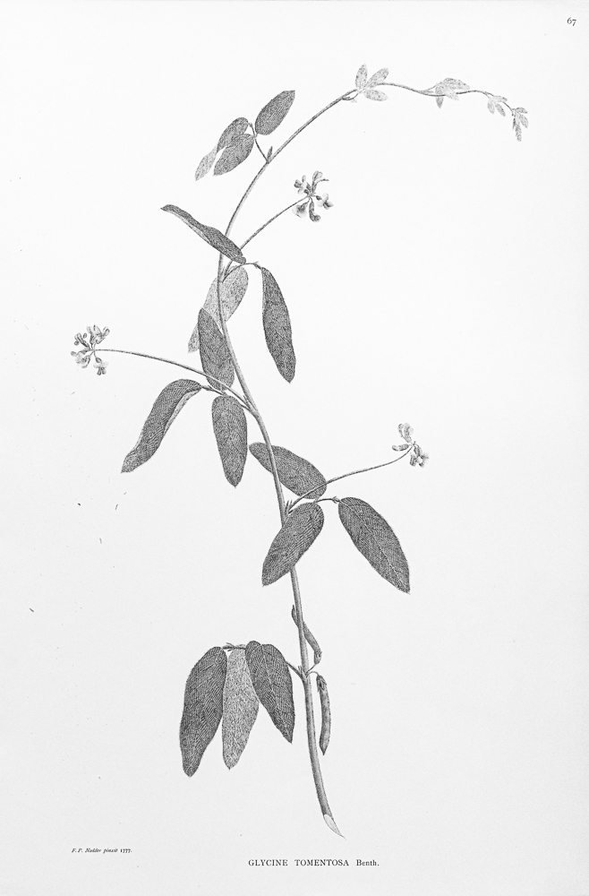 2026 RGSSA 12952