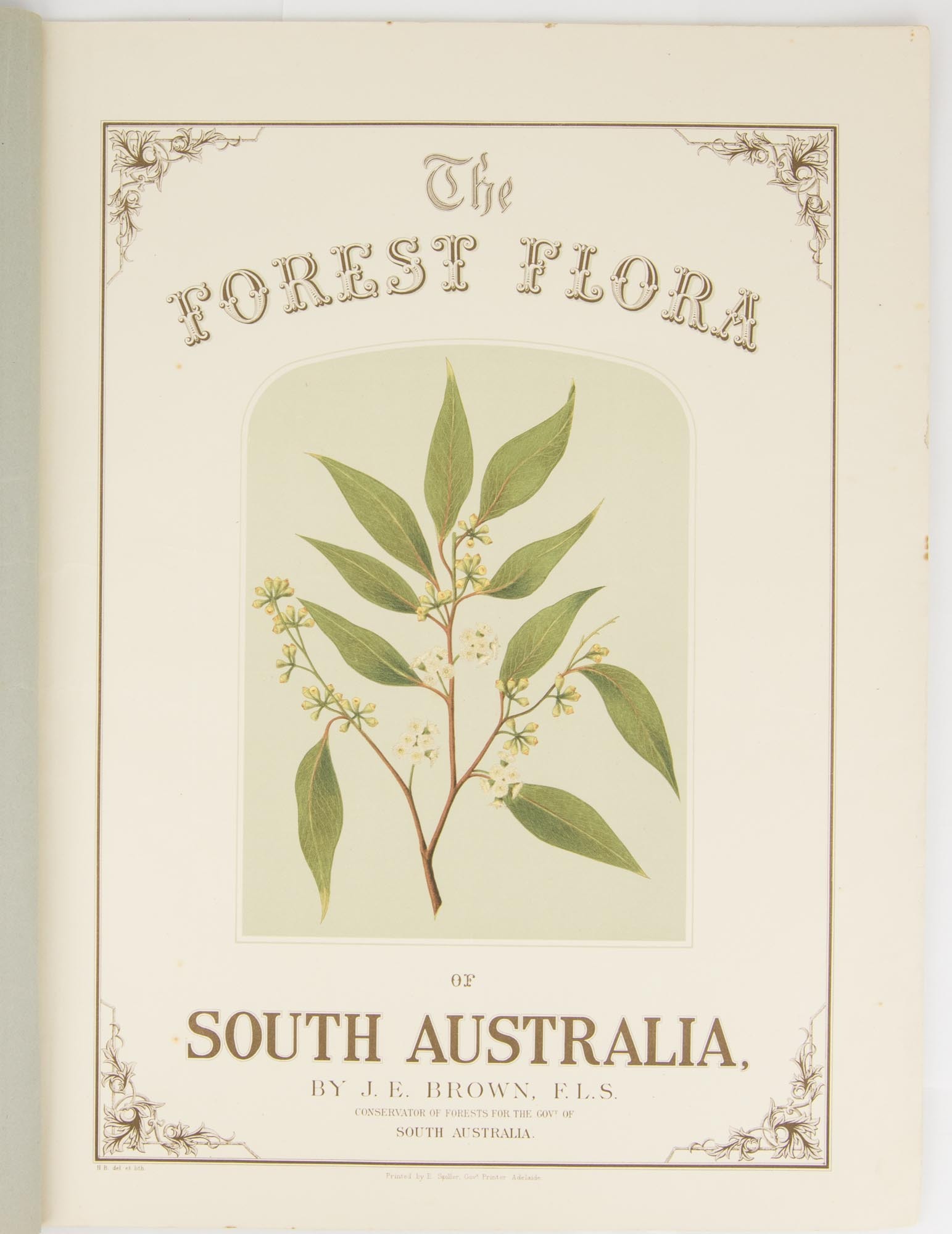 Forest Flora Titlepage