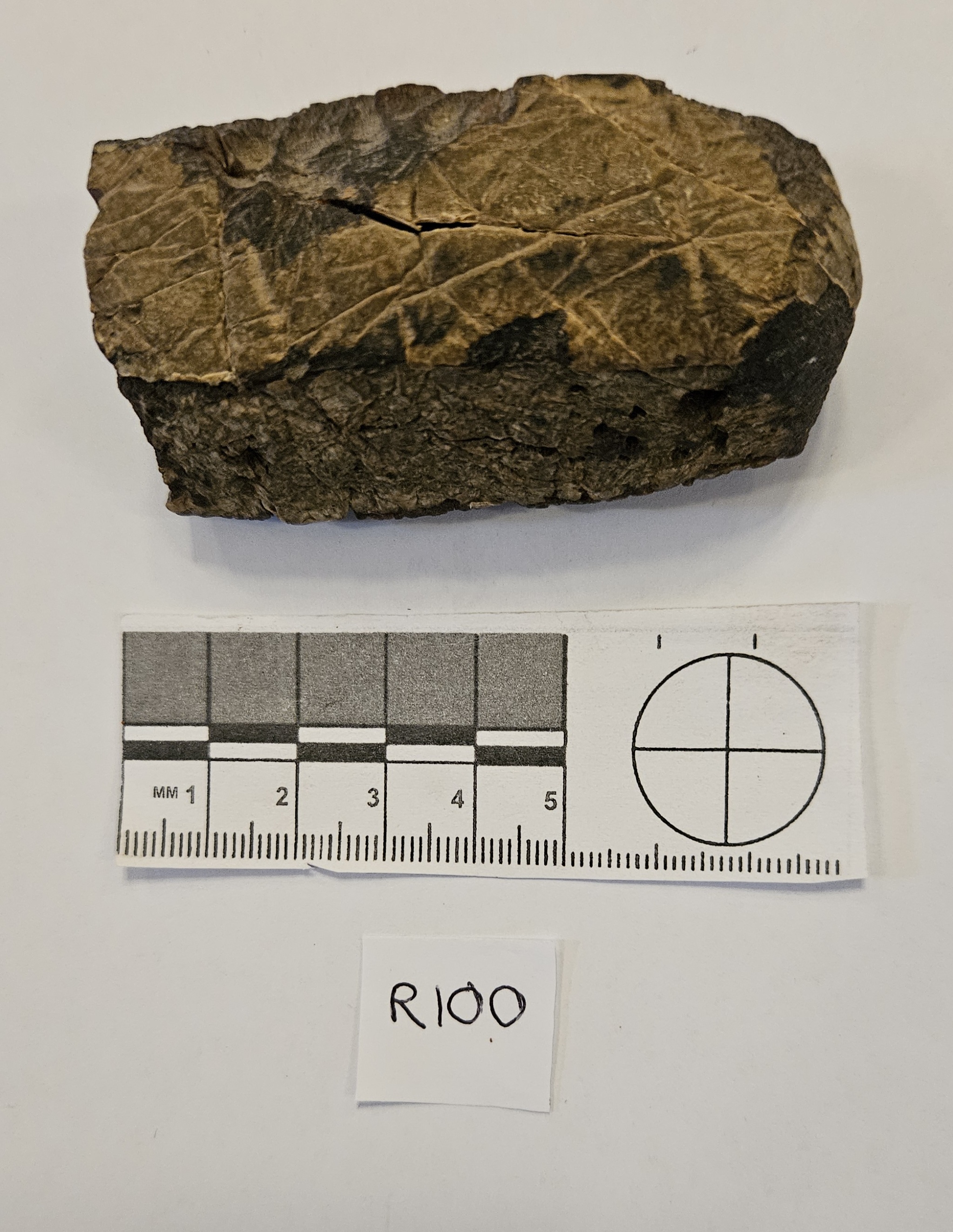 R100